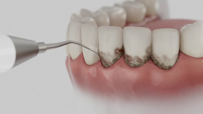 Reliable Dental contractor in Twin Rivers, NJ by Dentist Open Now